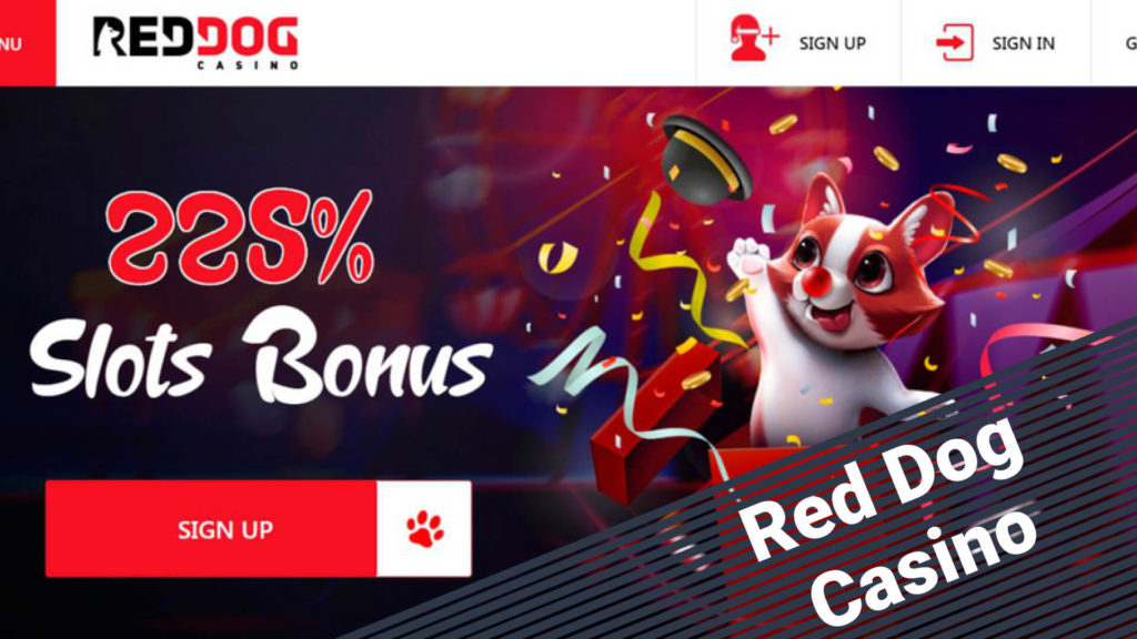 Red Dog casino